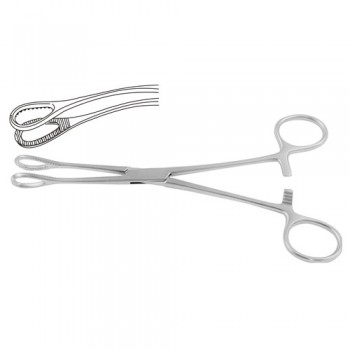 Foerster Sponge Holding Forcep Straight Stainless Steel, 25 cm - 9 3/4"